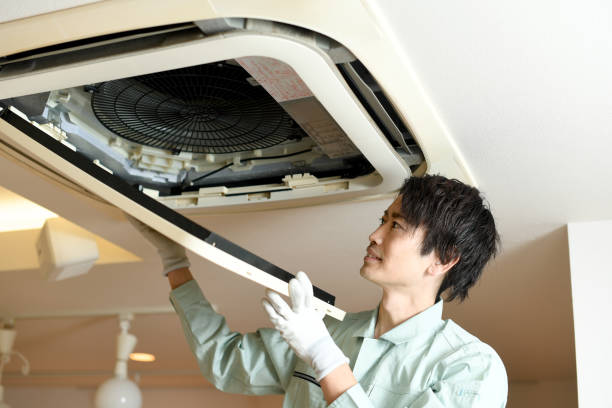 Best Dryer Vent Cleaning Services  in Tsaile, AZ